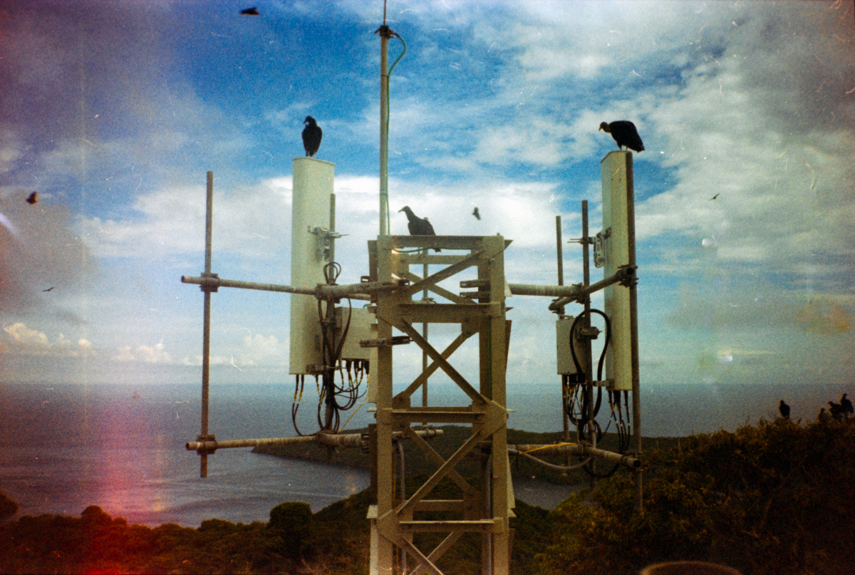 cell tower with vultures perched atop