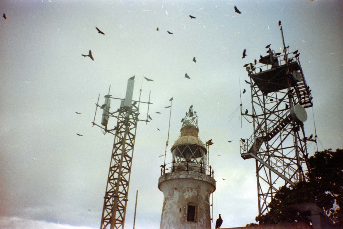 lighthouse swarmed with vultures