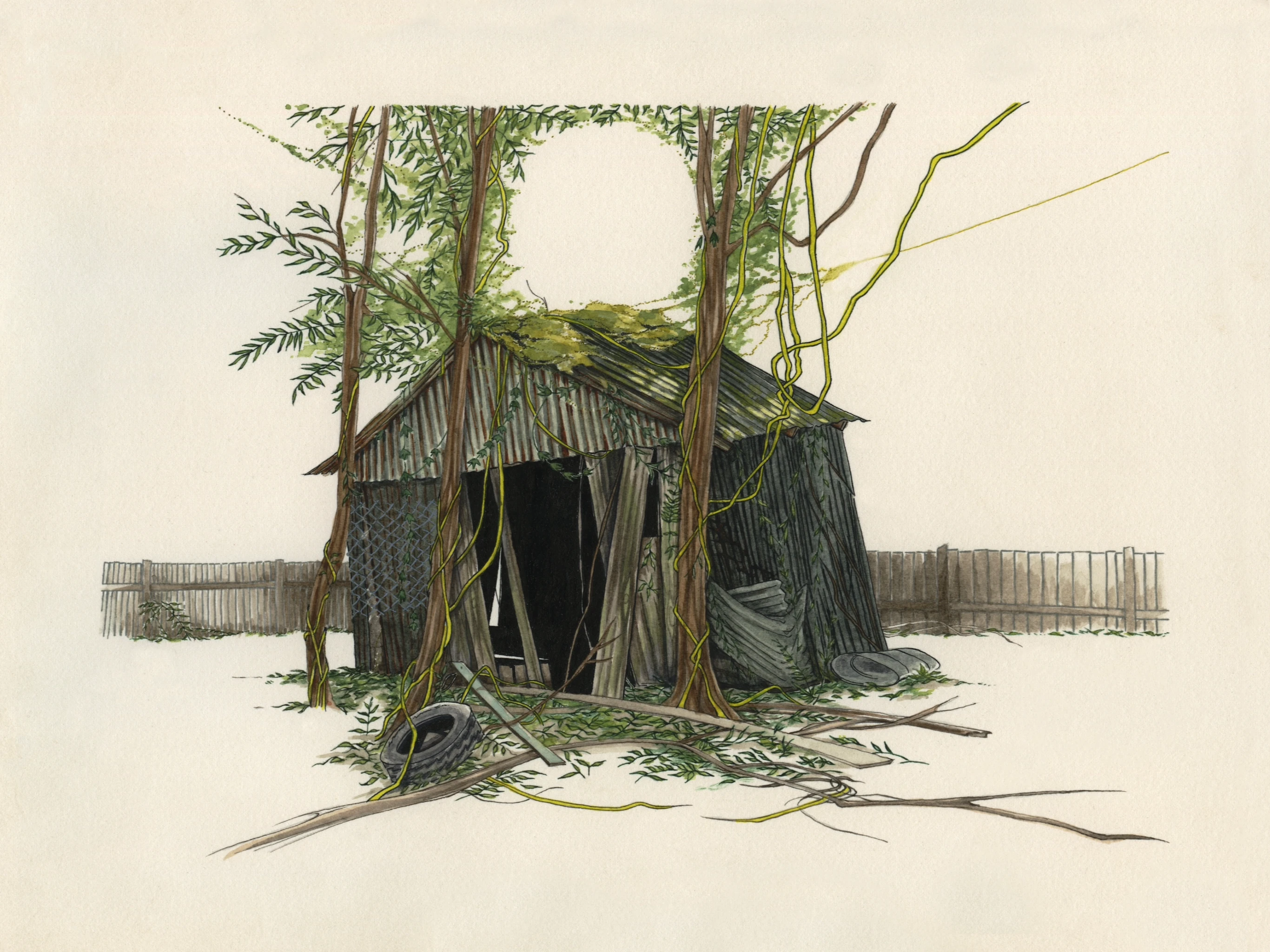 watercolor and ink illustration of a shack with vines and trees growing around it