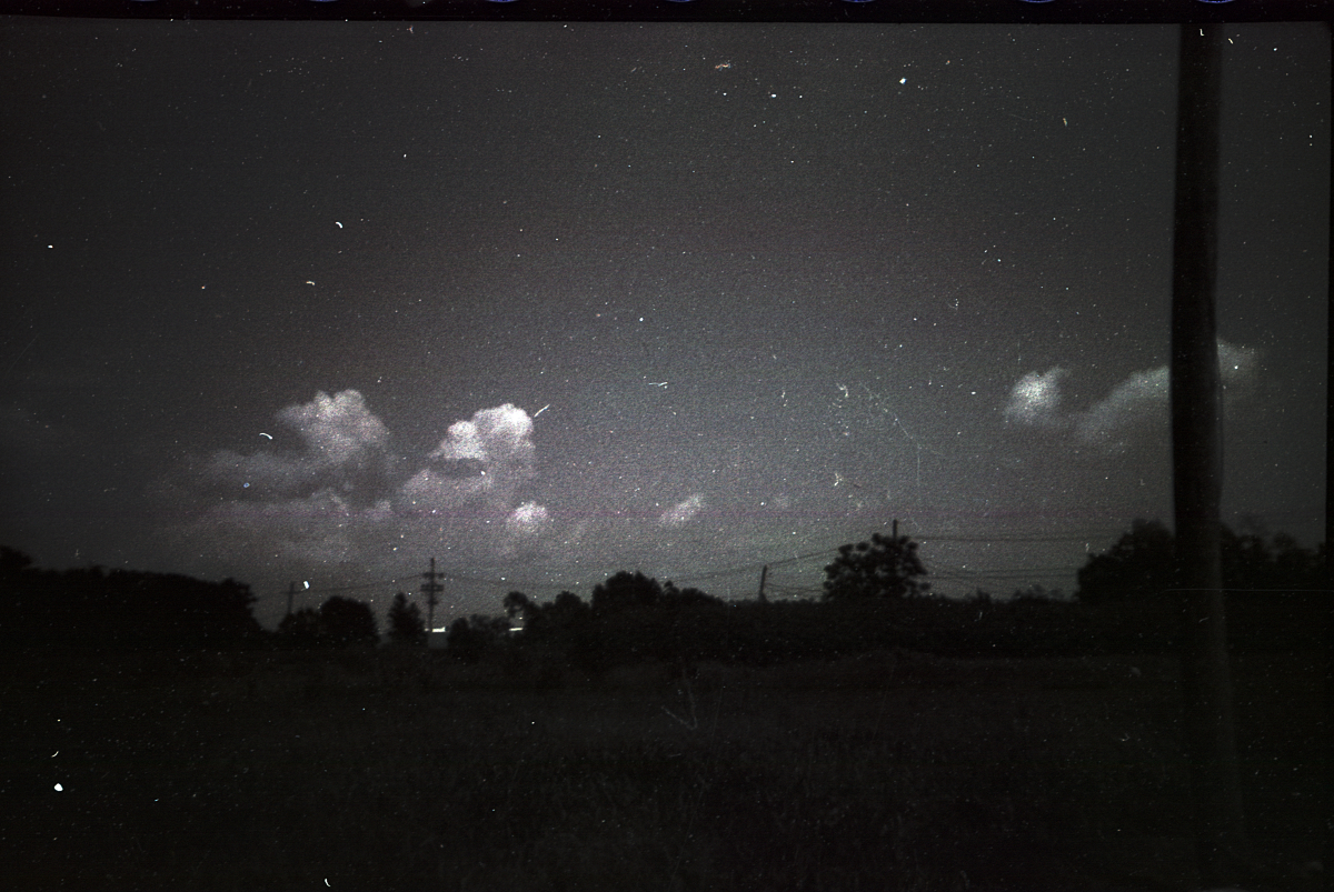 black and white photo of trees, sky