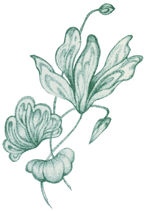 riso printed illustration of lilyesque flower, bud, leaf