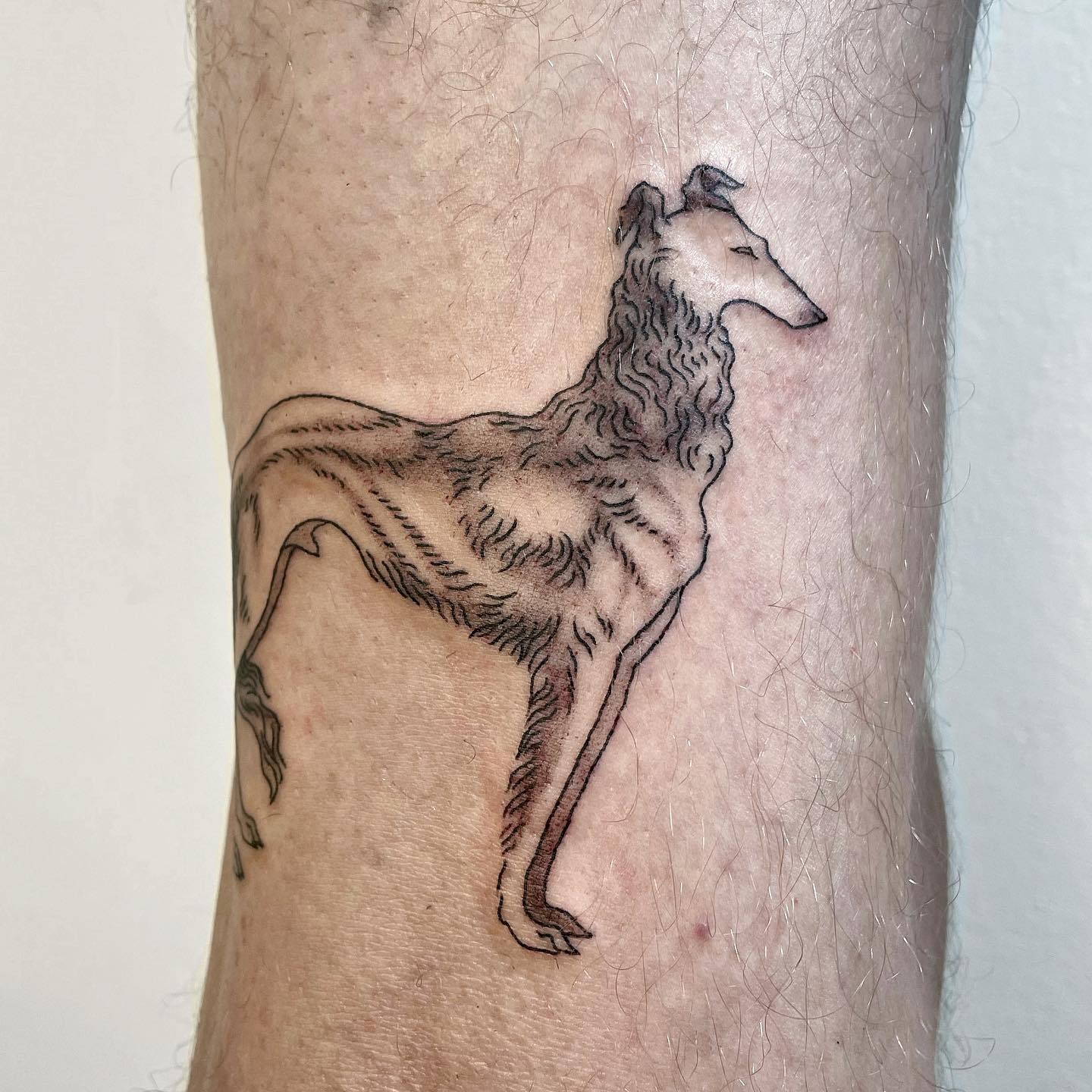 tattoo of a borzoi on leg
